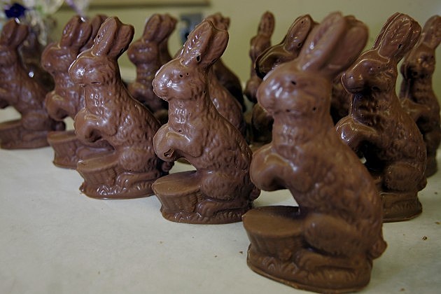 Chocolate Easter Bunnies Chocolate Easter Bunnies