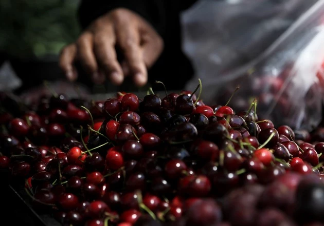 Broad Federal Farm Bill With Implications Across US Food Spectrum Debated In Washington