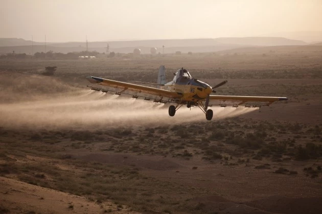 A Swarm Of Locusts Arrives In Israel
