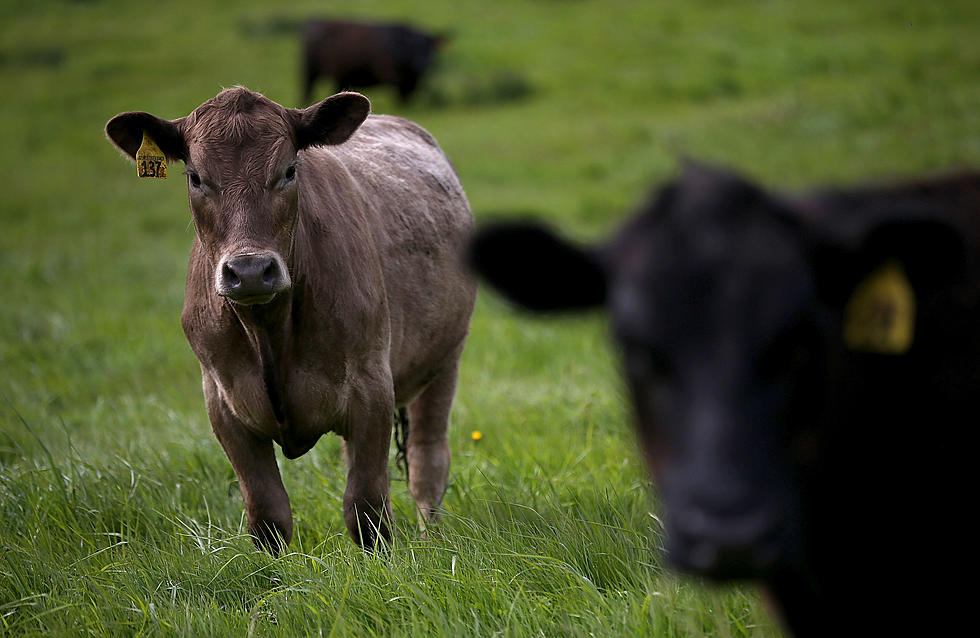 China Bans Brazilian Beef; Trump Proclaims Nat&#8217;l Ag Day