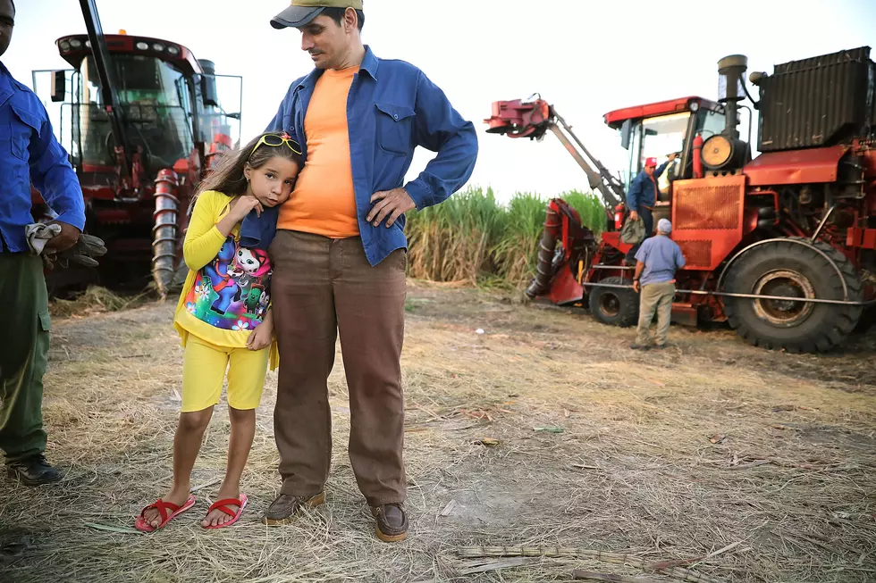Syngenta Spends on Training-Fines and Mexican Sugar Watch
