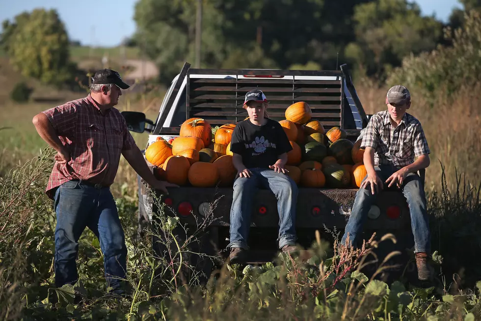 Ag News: 1st Quarter Farm Income Down