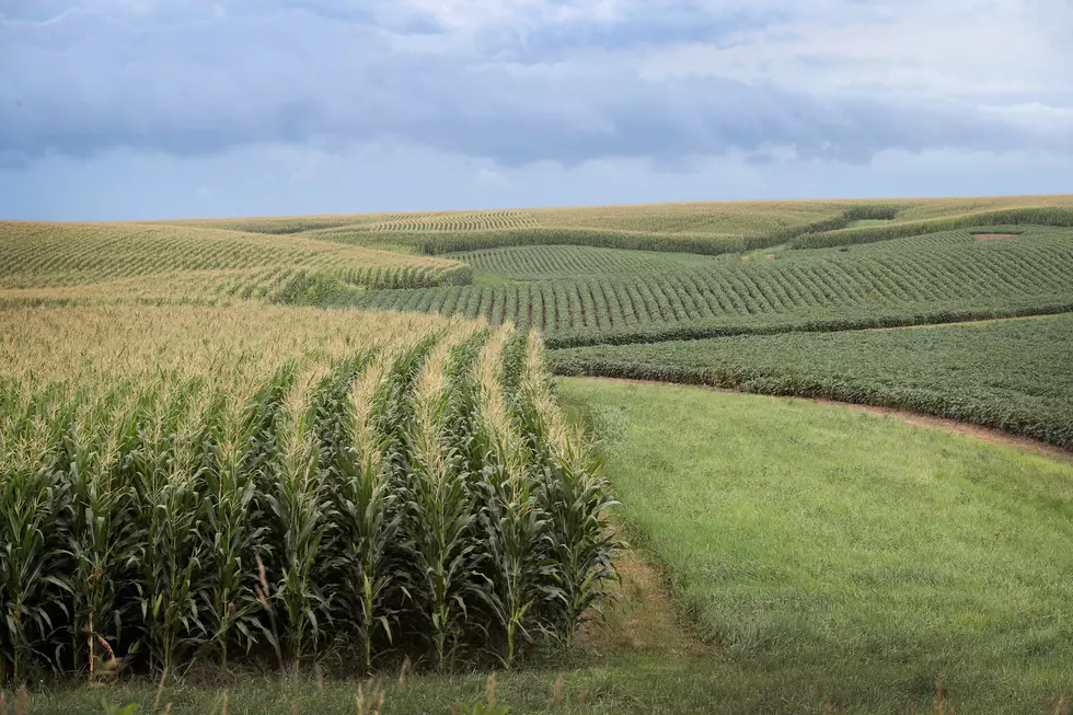 USDA Adds Rural Broadband Funding & West Coast Ports Negs.