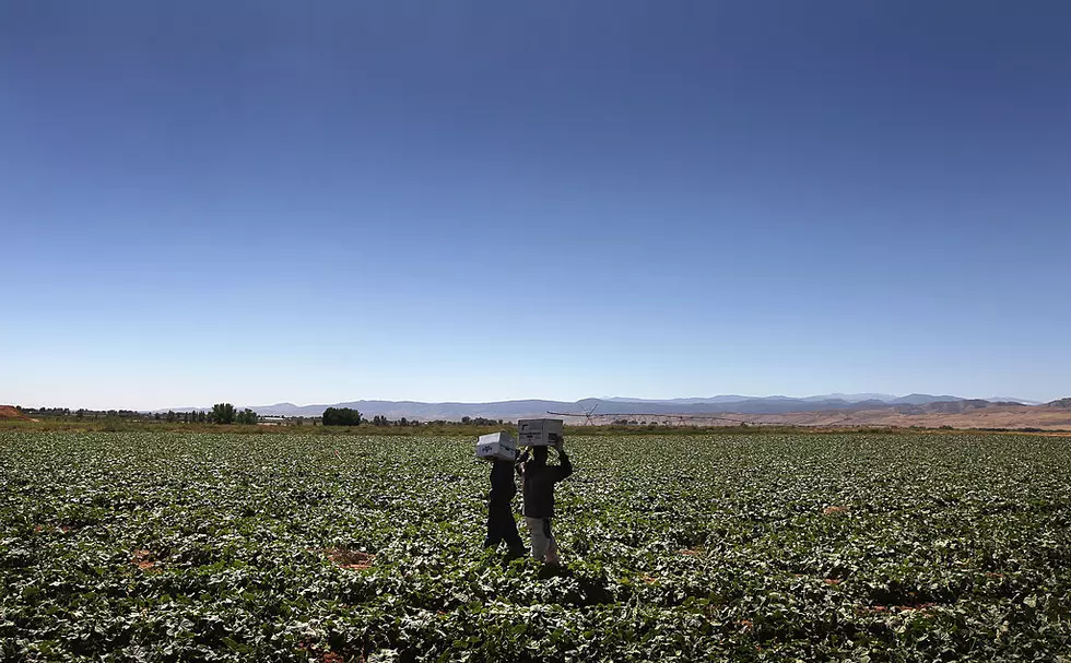 Ag News: CFAP Opens Up to More Crops