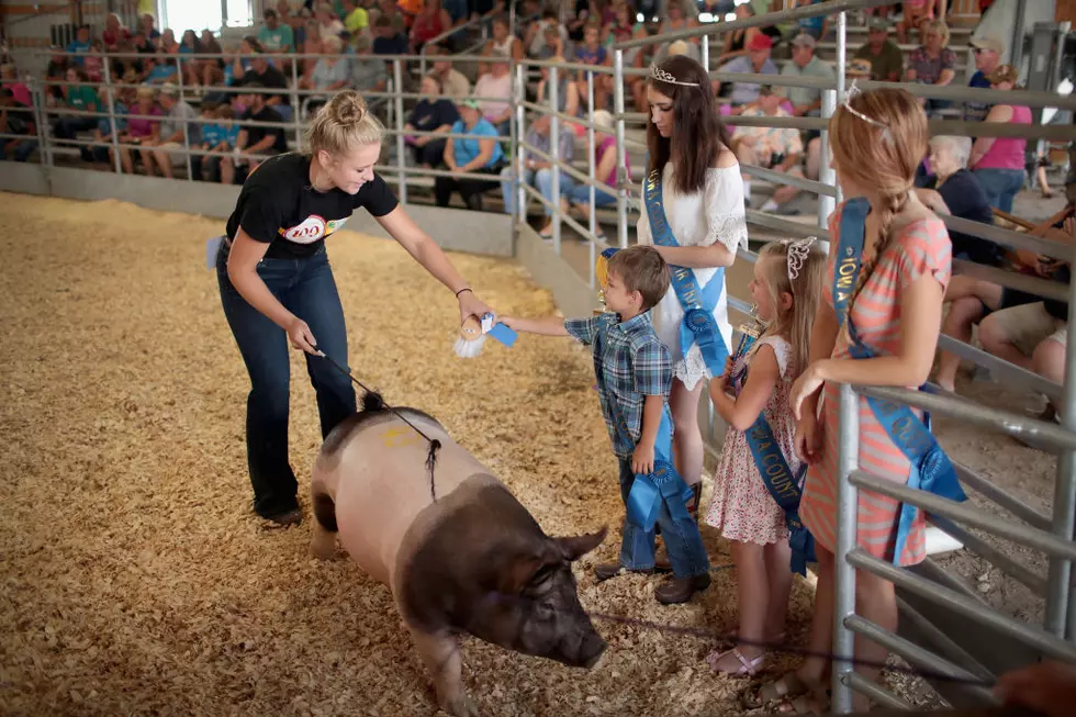 Ag News: Prop 12 Impact on 4-H and Vilsack on Next Farm Bill