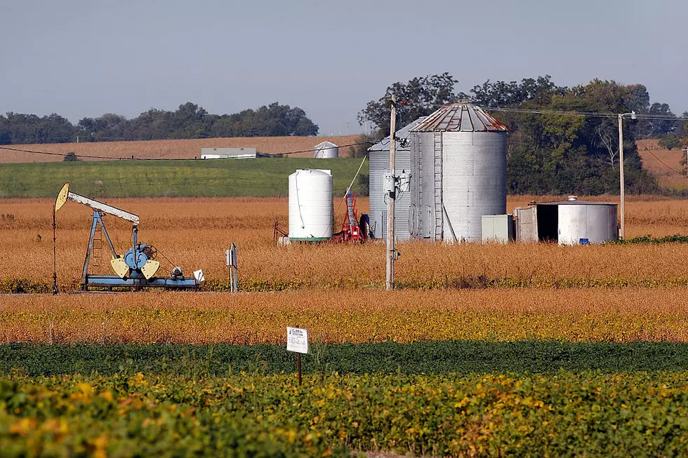 Democrats Unveil Livestock Proposal and FSA’s Farm Loan Update