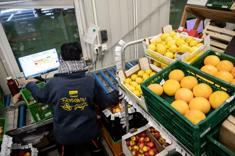 Farmers Go Online and 2022 Census of Agriculture