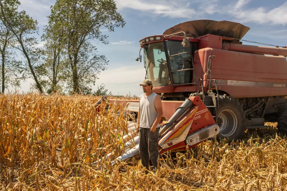 Historic Drought Plummets Argentina's Exports and Forces Reserves Target Revision