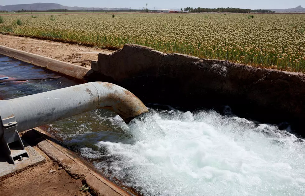 Local Ecology officials Warn Washington Faces Severe Water Shortage This Summer