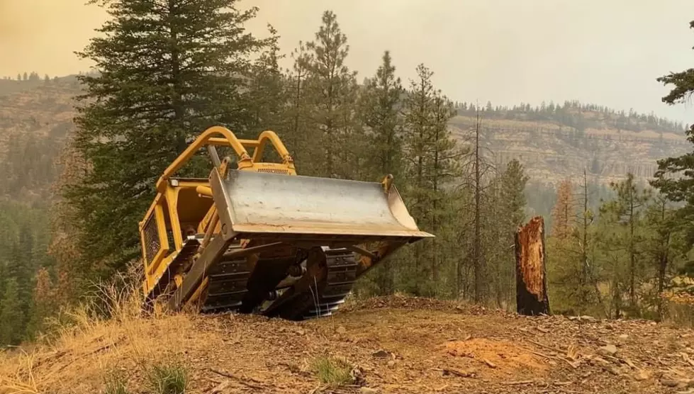 Little Builders Unite: Drive Big Machines at Dozer Day!