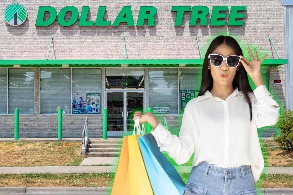 The 10 Items You Should Never Skip Buying from WA State Dollar Stores