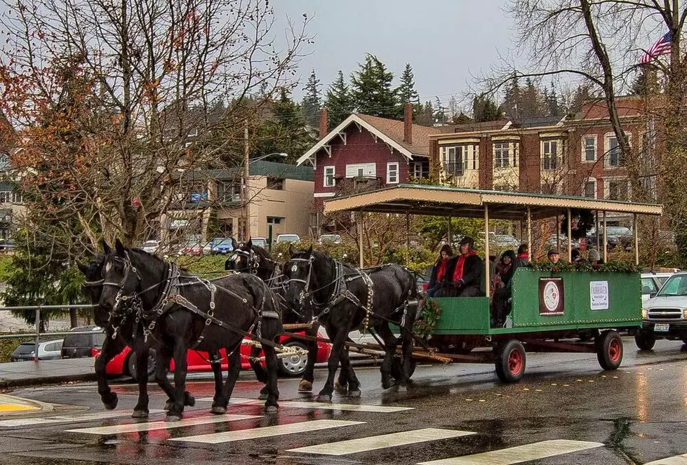 Washington’s BEST Quietly Kept Neighborhood Secret for Christmastime
